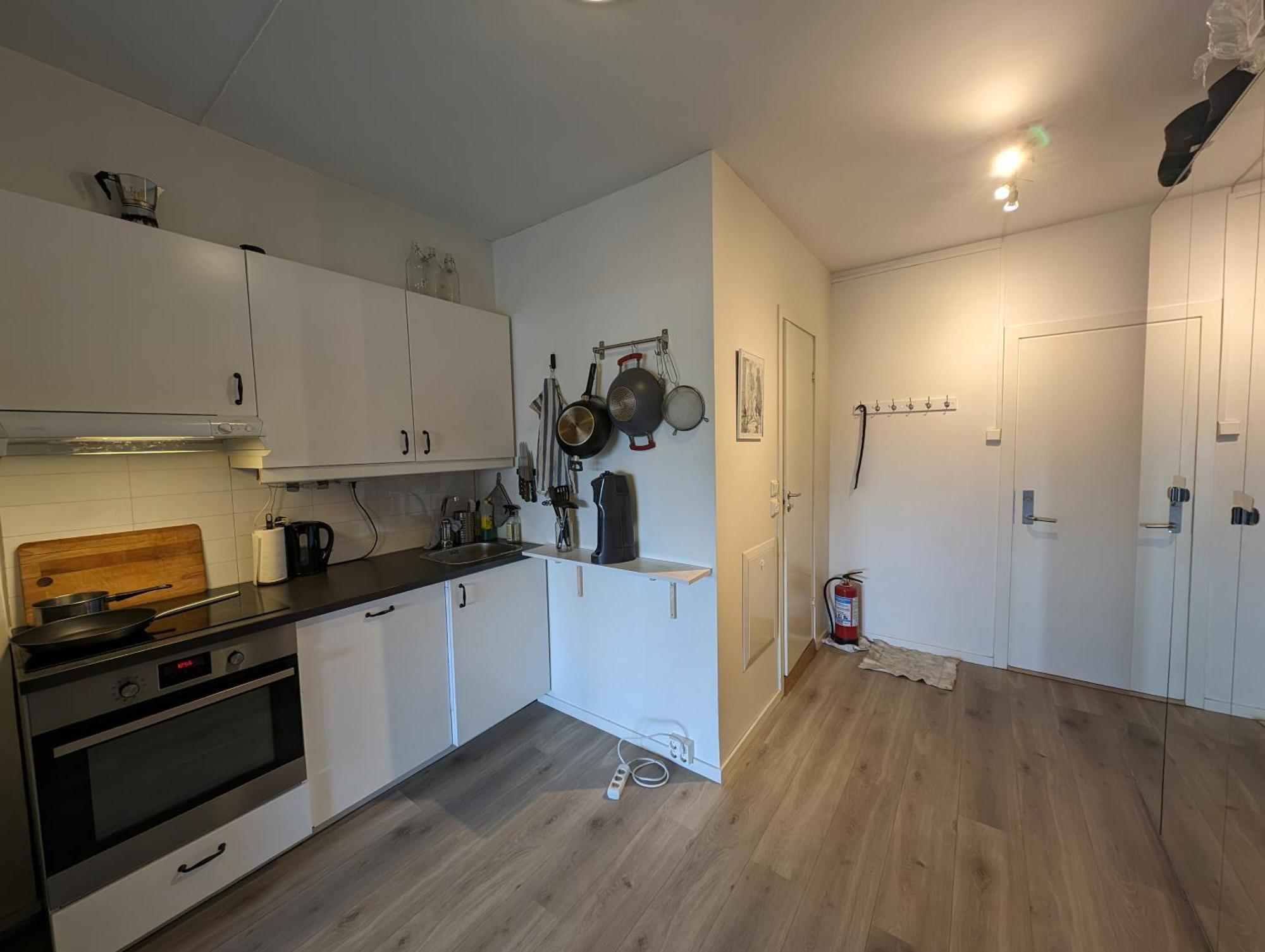 Spacious And Cozy Study Apartment With Balcony ออสโล ภายนอก รูปภาพ