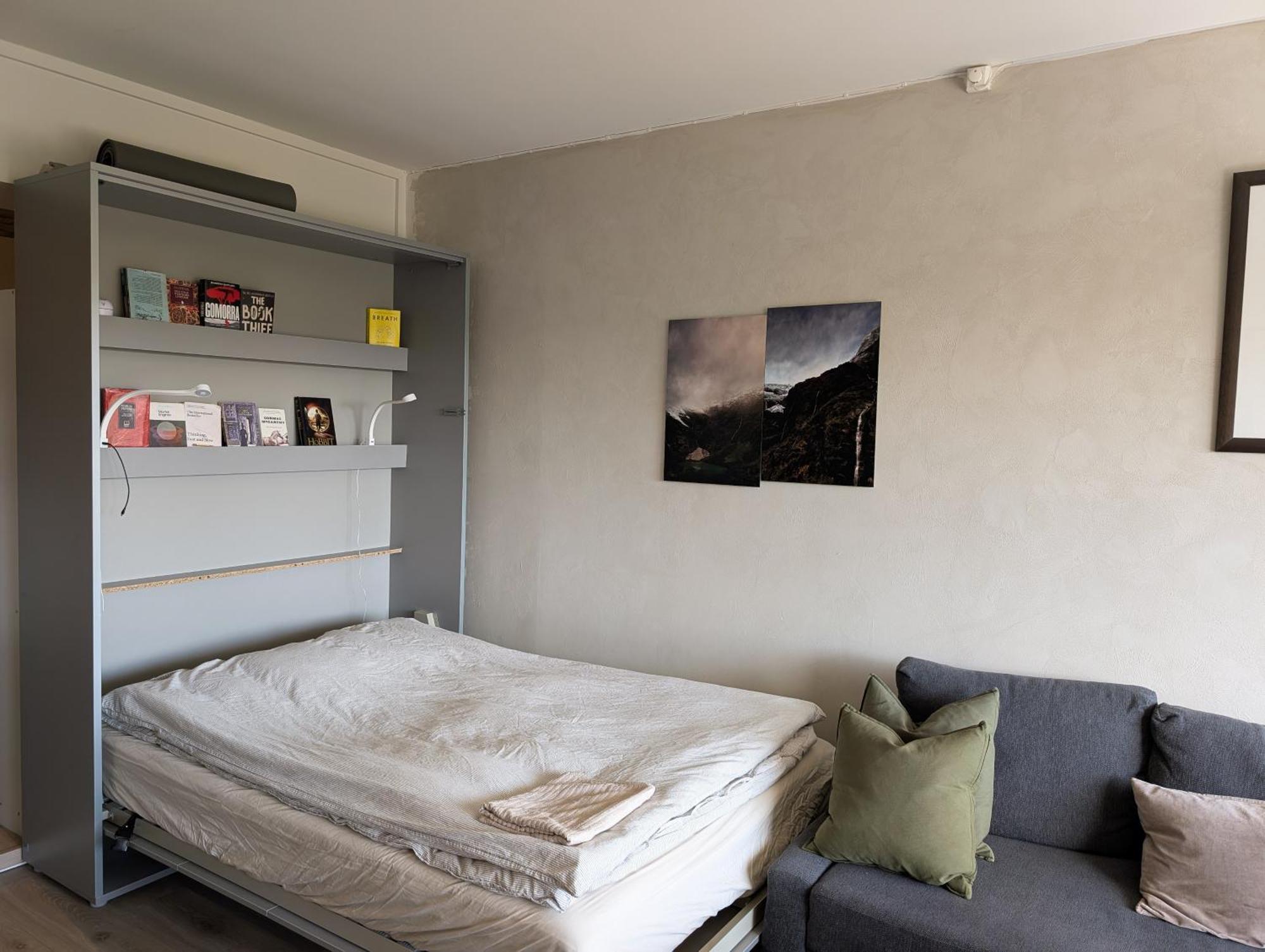 Spacious And Cozy Study Apartment With Balcony ออสโล ภายนอก รูปภาพ